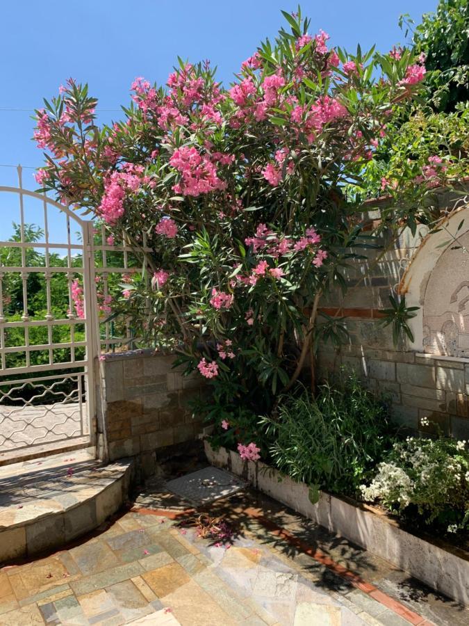 Gemuetliches Appartement In Ano Poli เทสซาโลนิกิ ภายนอก รูปภาพ