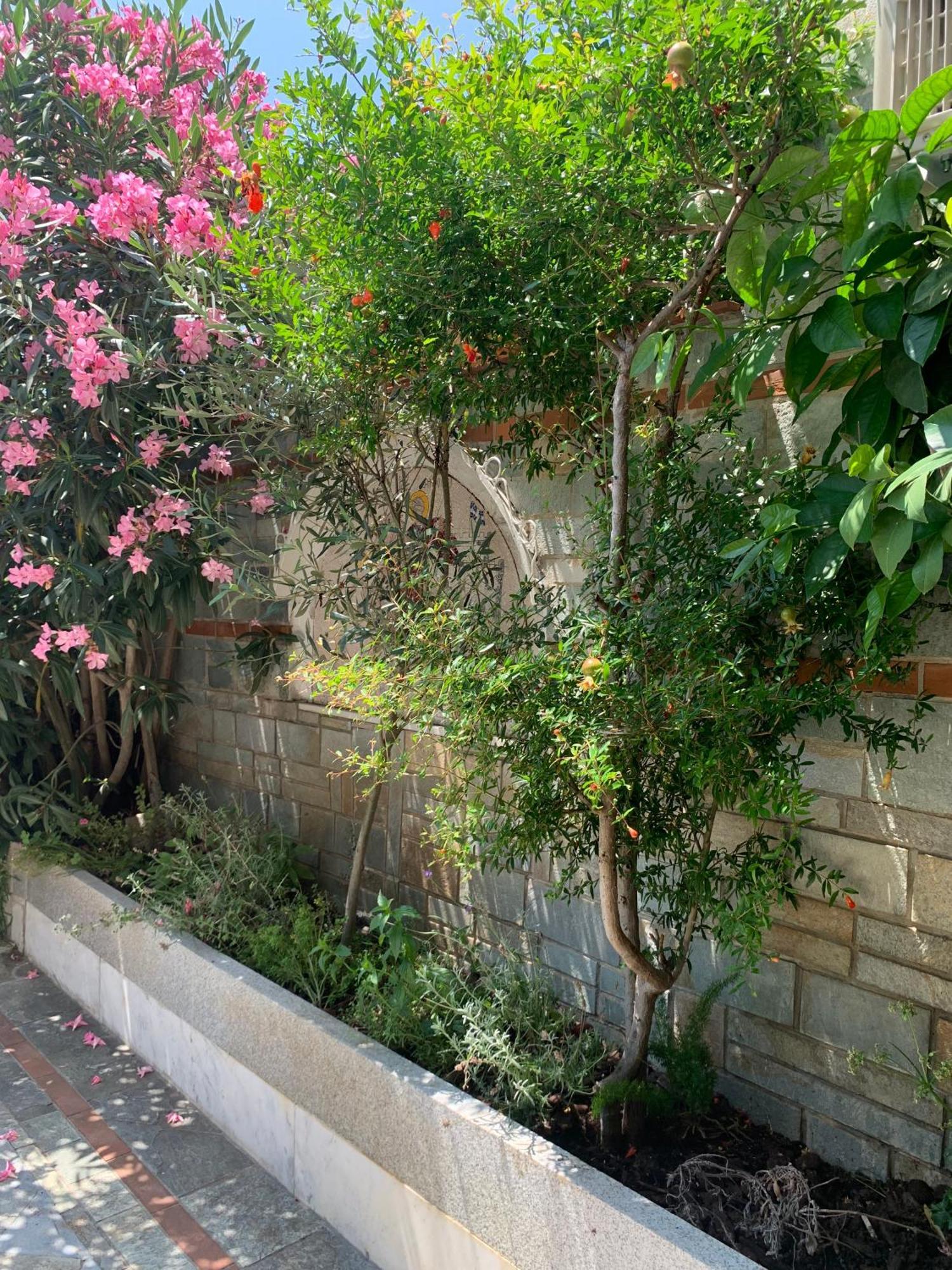 Gemuetliches Appartement In Ano Poli เทสซาโลนิกิ ภายนอก รูปภาพ