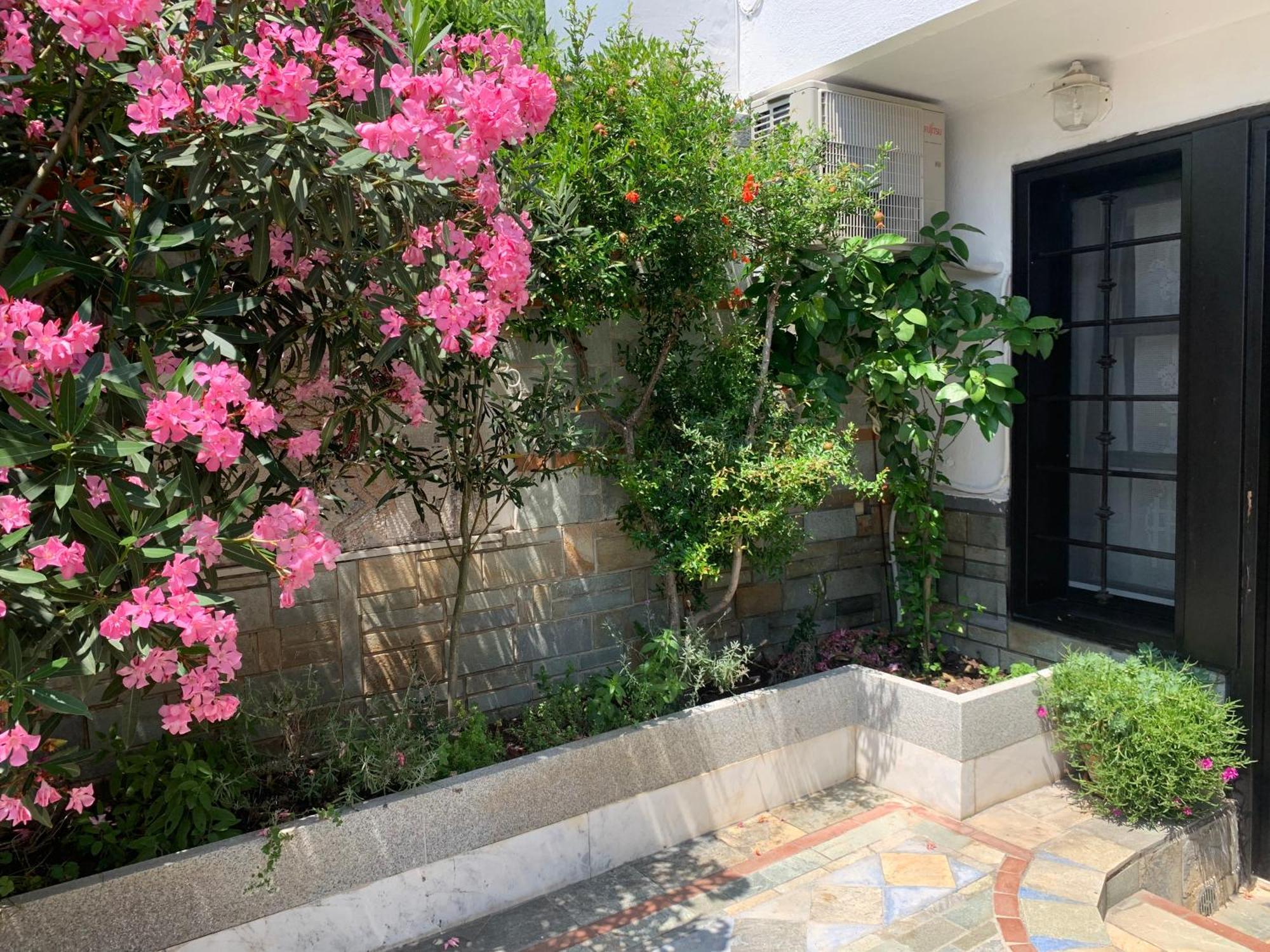 Gemuetliches Appartement In Ano Poli เทสซาโลนิกิ ภายนอก รูปภาพ
